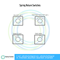 Spring Return Switches